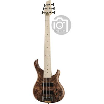 Human Base BaseX 6 Walnut Burl MN