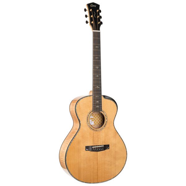 Cort Gold Passion