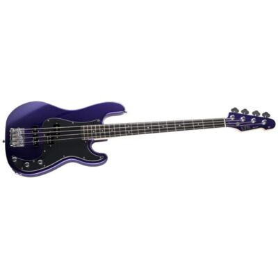 ESP LTD Surveyor