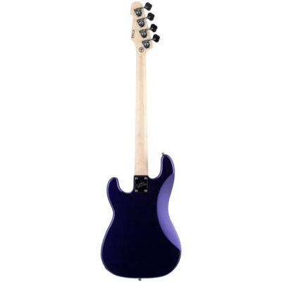 ESP LTD Surveyor
