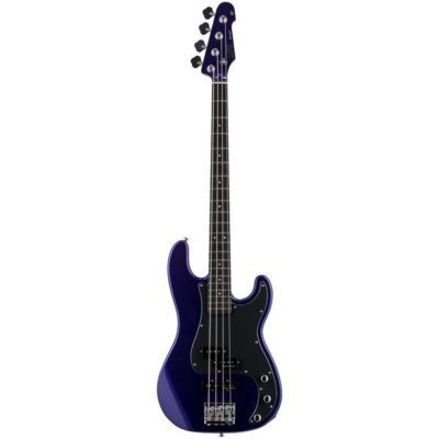 ESP LTD Surveyor