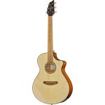 Las claves de la Breedlove Discovery S Concert CE Spruce : Opiniones y Valoración