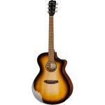 Breedlove Discovery S Dreadn Conc CE EB : Todo lo que debes saber antes de comprar