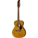 ¿Vale la pena comprar la Fender Villager 12-String AGN? Opiniones sinceras