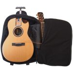 ¿Qué opinan los guitarristas de la acústica Journey Instruments Cedar Zircot Parlor Travel LTD?