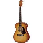 Análisis acústico de la Maton EBG808 Nashville : ¿Suena tan bien?