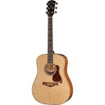Análisis al detalle de la guitarra acústica Taylor Gold Label 810e