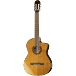 Guía y Opiniones : Descubre la Takamine EC132SC w/Softcase al detalle