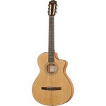 Taylor 112ce-N : Todo lo que debes saber antes de comprar