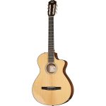 Reseña completa de la Taylor 212ce-N Plus : Opiniones de expertos