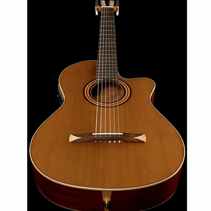 Alhambra CS-1 CW E1 incl.Gig Bag