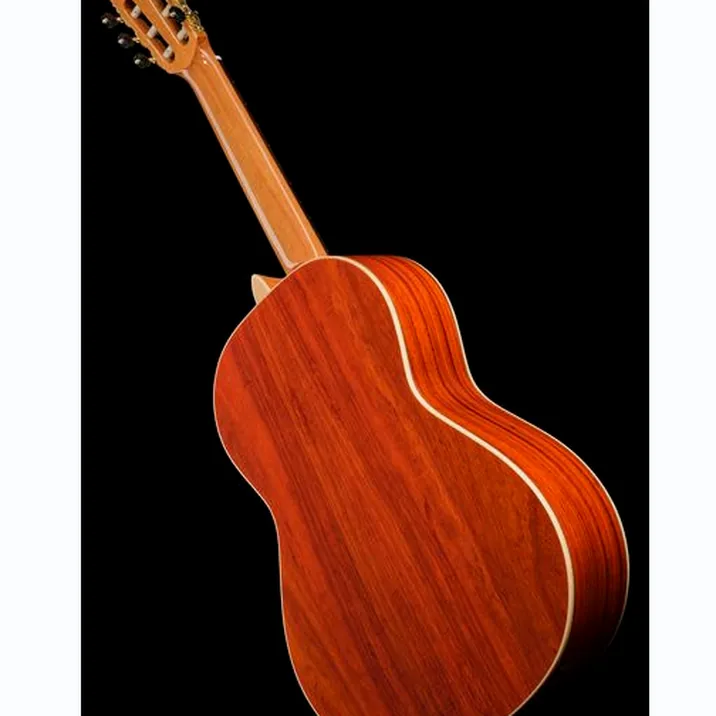 Alhambra Green Sustain Classical w/GBag