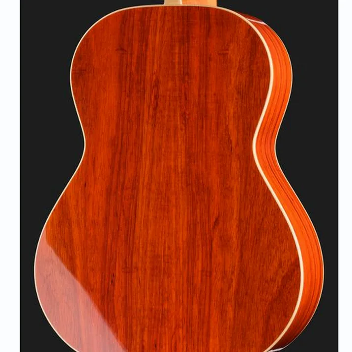 Alhambra Green Sustain Classical w/GBag