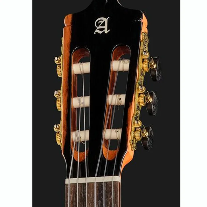 Alhambra Green Sustain Classical w/GBag