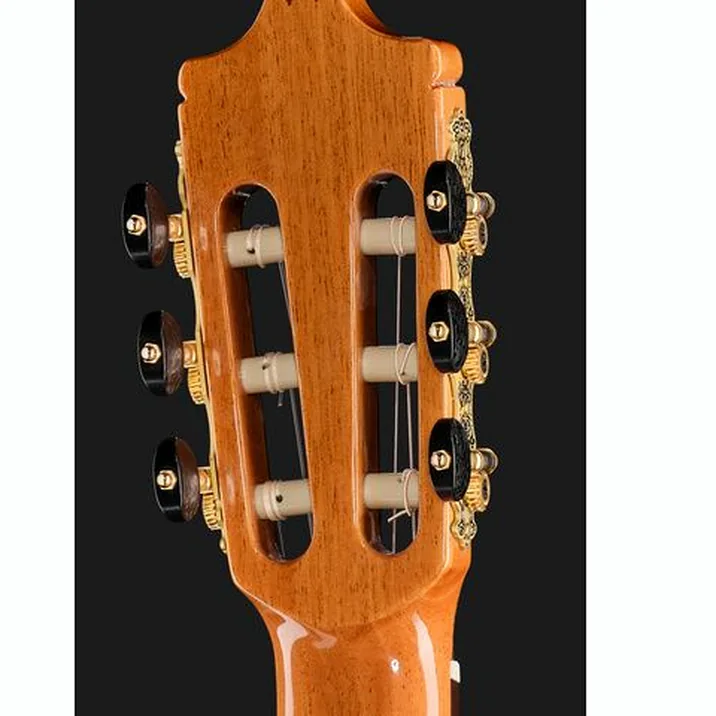 Alhambra Green Sustain Classical w/GBag
