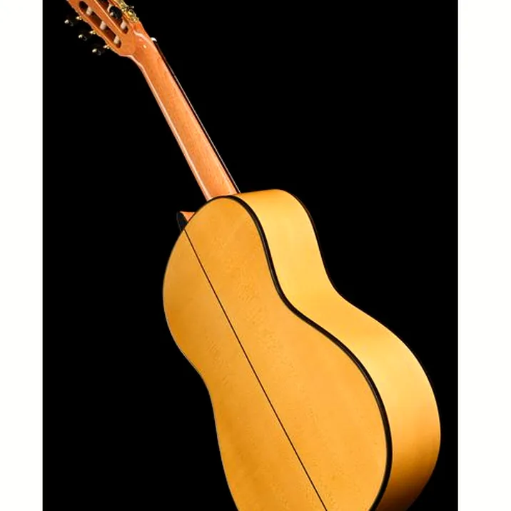 Alhambra Green Sustain Flamenco w/Bag