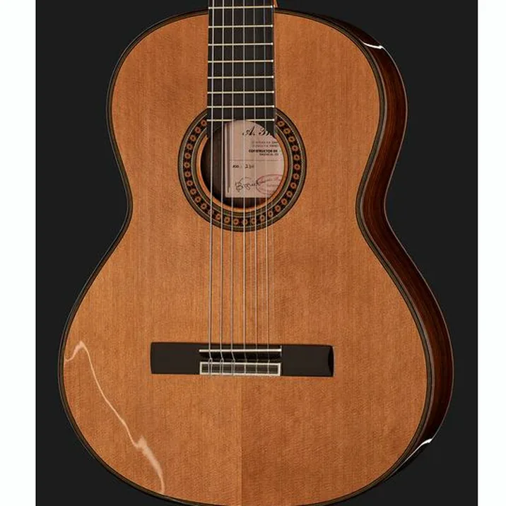 Amalio Burguet 2DV w/Case