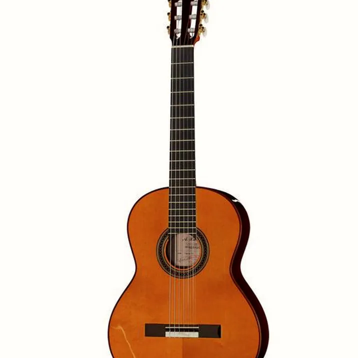 Amalio Burguet Fnegra DV Spruce Flamenco