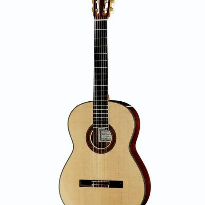 Asturias Kodaira AST-100