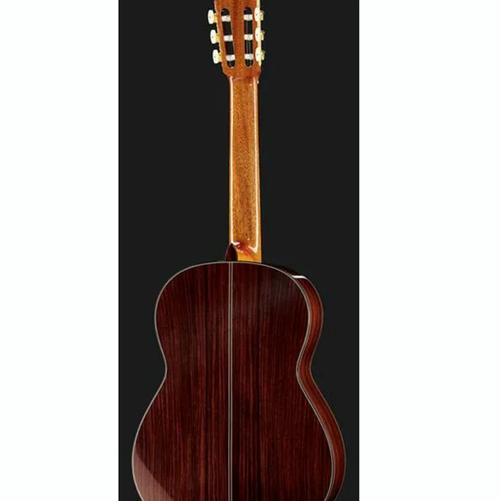 Asturias Kodaira AST-100
