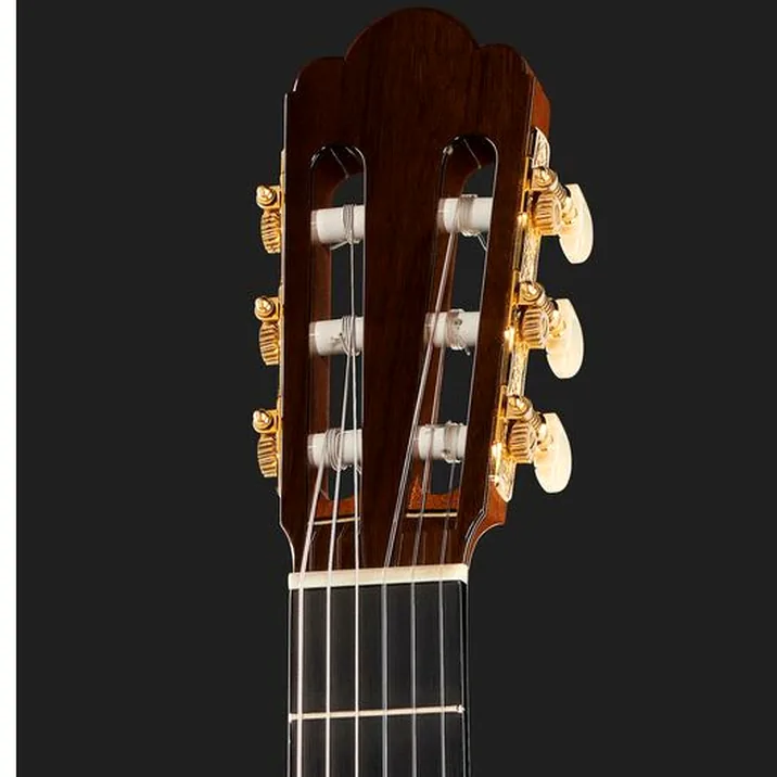Asturias Renaissance S 562216