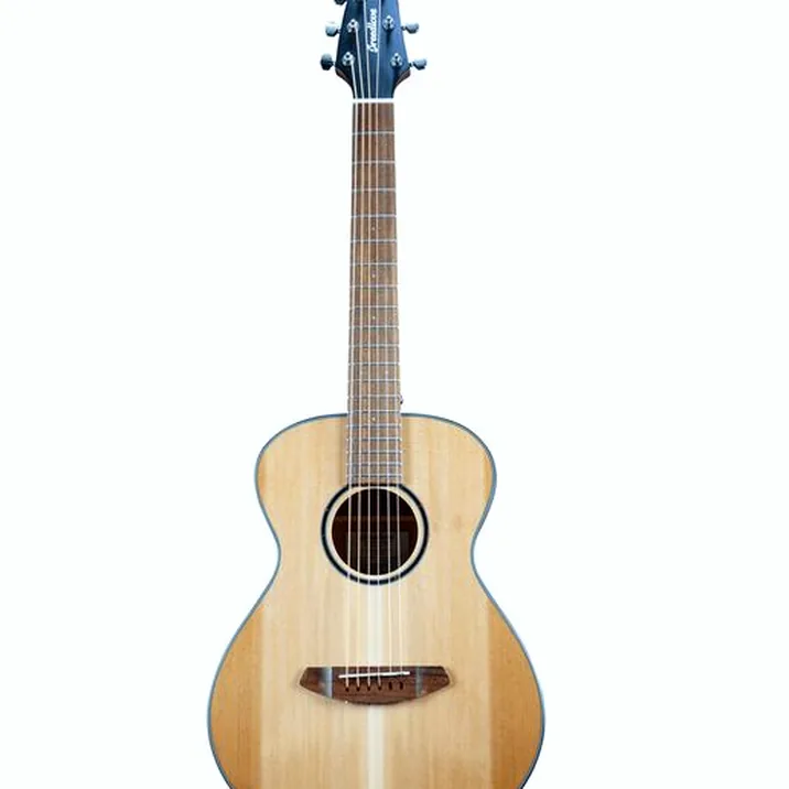 Breedlove Discovery S Companion