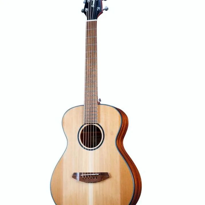 Breedlove Discovery S Companion