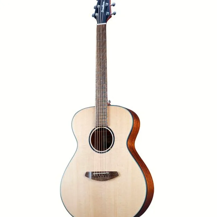 Breedlove Discovery S Concert