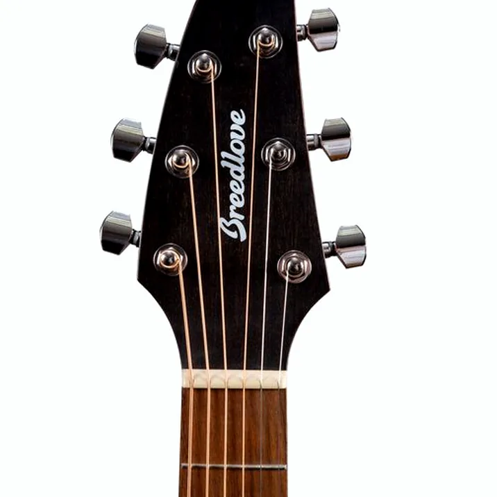 Breedlove Discovery S Concert