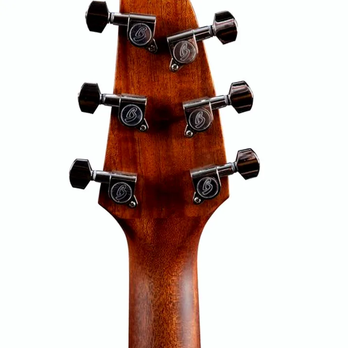 Breedlove Discovery S Concert