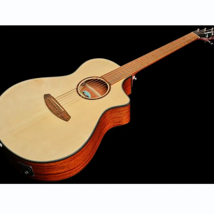 Breedlove Discovery S Concert CE Spruce