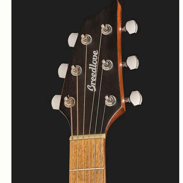 Breedlove Discovery S Concert CE Spruce