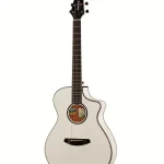 La reseña definitiva de la Breedlove Discovery S Concert CE WH (Opiniones)