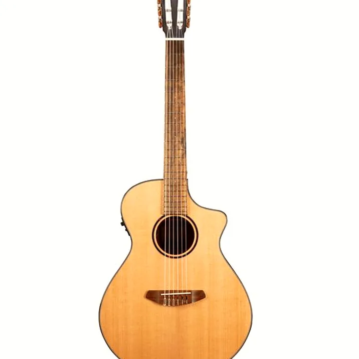 Breedlove Discovery S Concert Nylon CE
