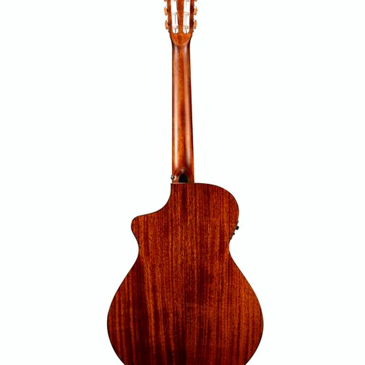 Breedlove Discovery S Concert Nylon CE