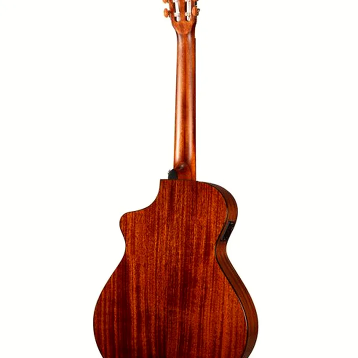 Breedlove Discovery S Concert Nylon CE