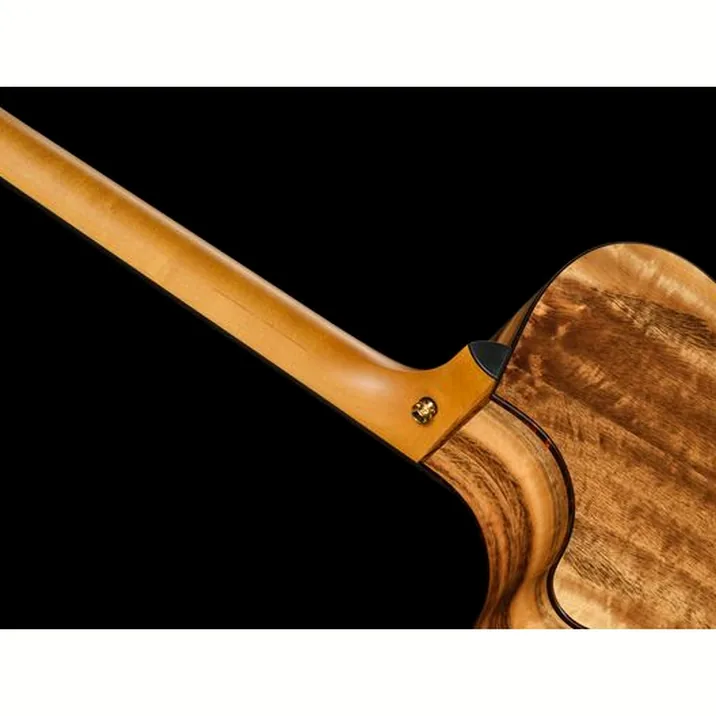 Breedlove Oregon Dreadnought Concerto