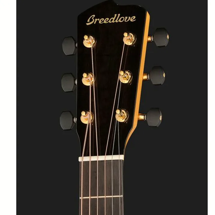 Breedlove Oregon Dreadnought Concerto