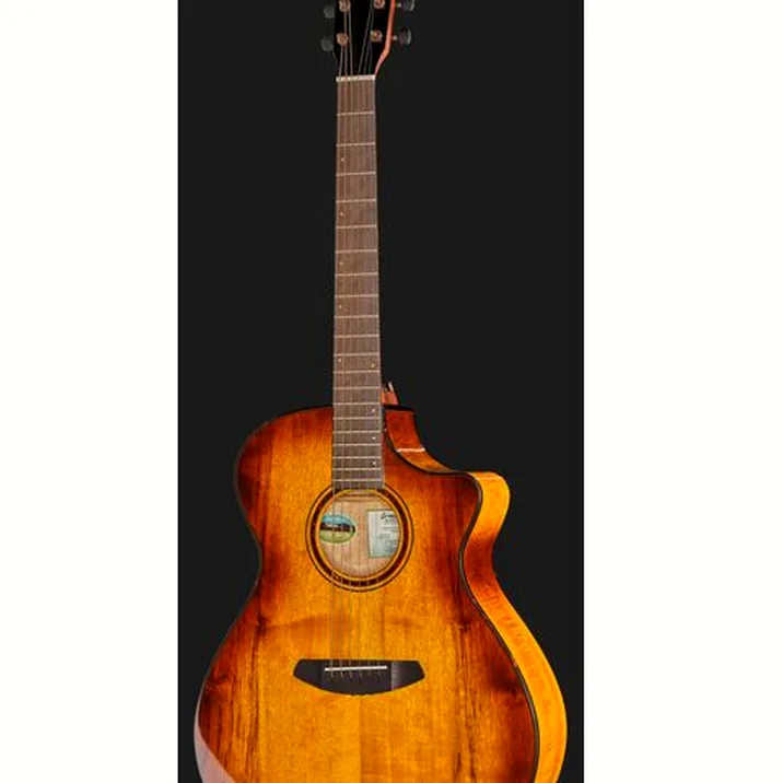 Breedlove Pursuit Ex. S Drdn Conc CE TE