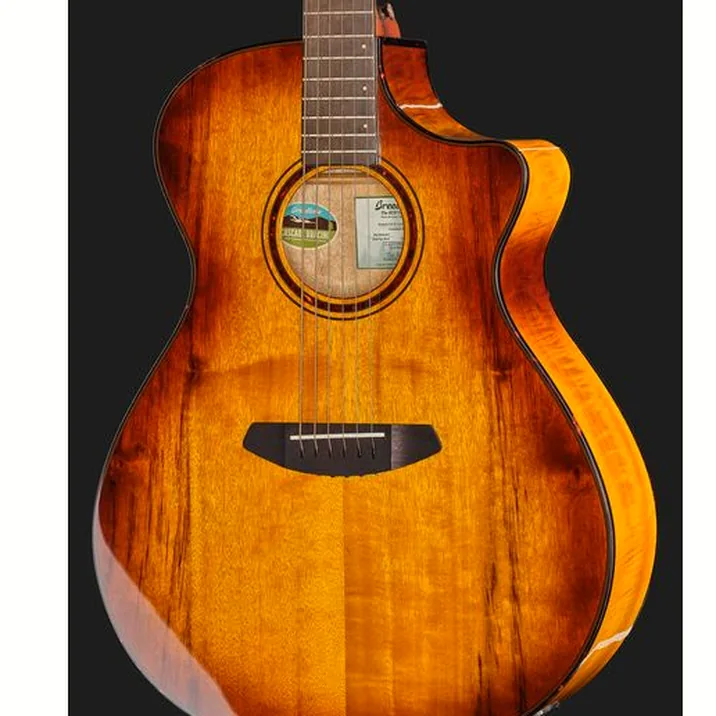 Breedlove Pursuit Ex. S Drdn Conc CE TE