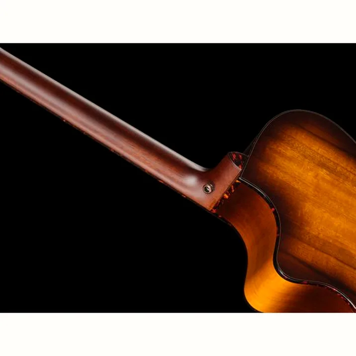 Breedlove Pursuit Exotic S Concert CE TE