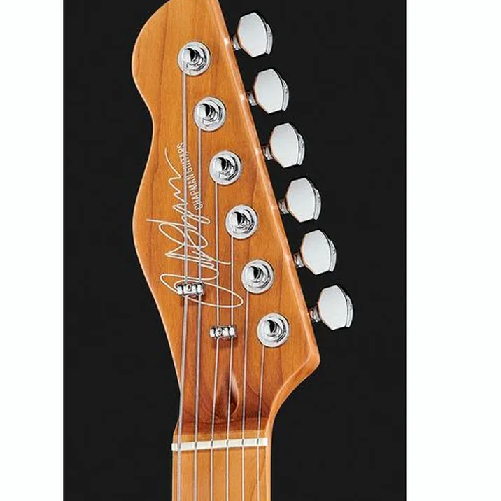 Chapman Guitars Ml3 Pro Trad Semi Hollow Atb
