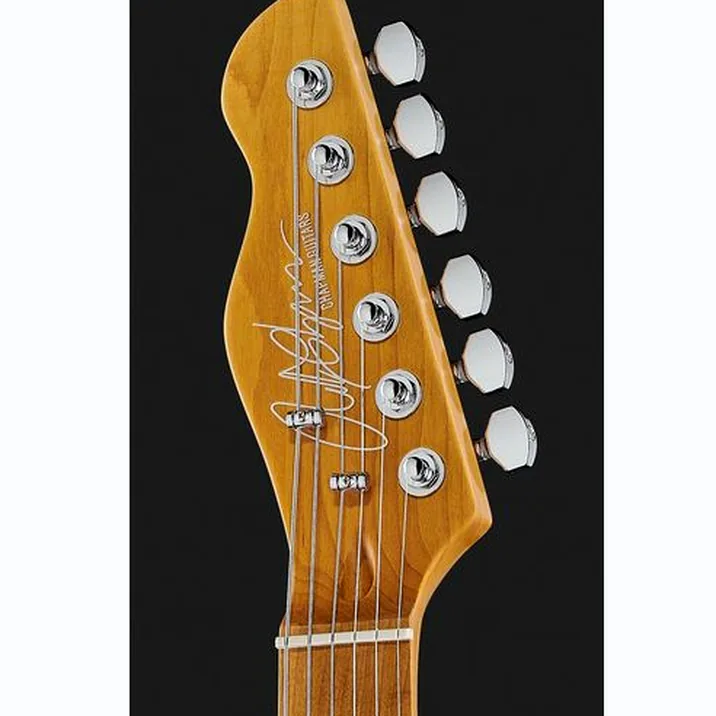 Chapman Guitars Ml3 Pro Trad Semi Hollow Bos