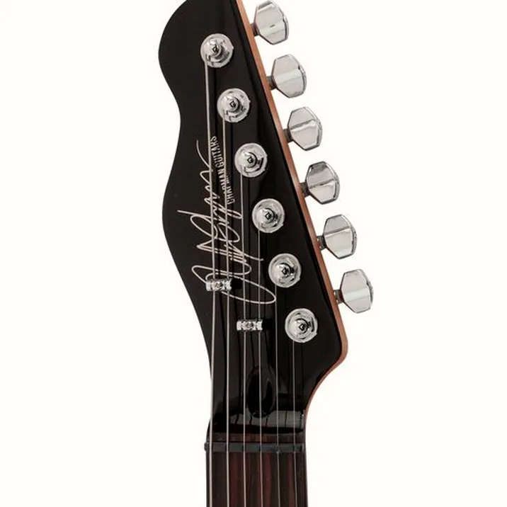 Chapman Guitars Ml3 Pro X Gold Metallic