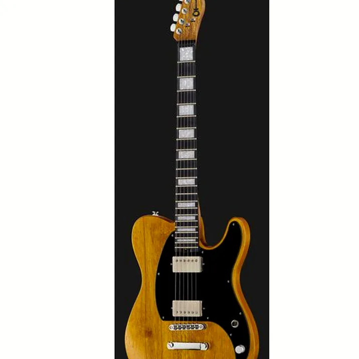 Charvel Joe Duplantier Pro-M SD ST2 NT