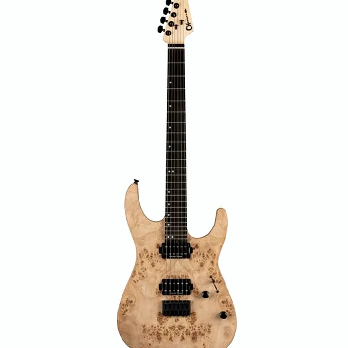 Charvel Pro-Mod DK24 HH HT E DS