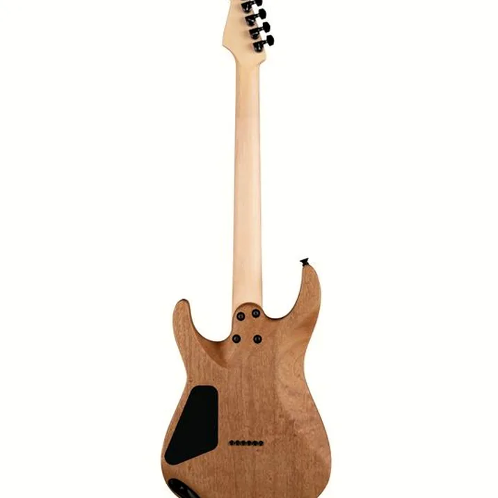 Charvel Pro-Mod DK24 HH HT E DS