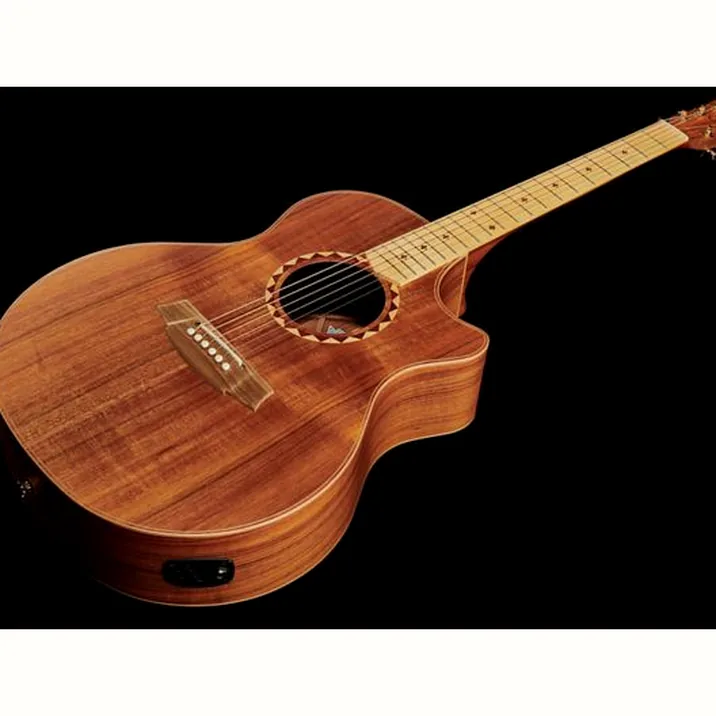 Cole Clark AN2EC-BLBL-SB Satin Box Fretb.