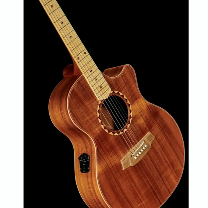 Cole Clark AN2EC-BLBL-SB Satin Box Fretb.