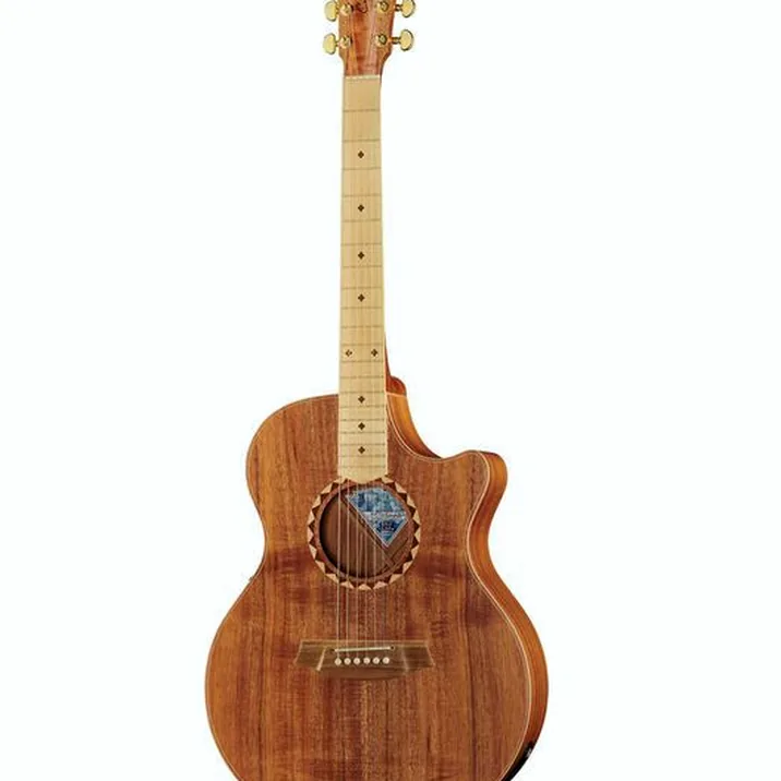 Cole Clark AN2EC-BLBL-SB Satin Box Fretb.
